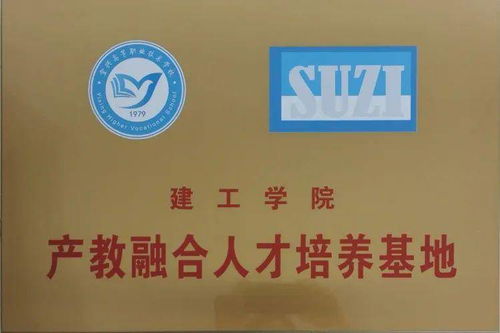 產教融合背景下江蘇蘇咨工程咨詢有限責任公司的行業價值與企業概況